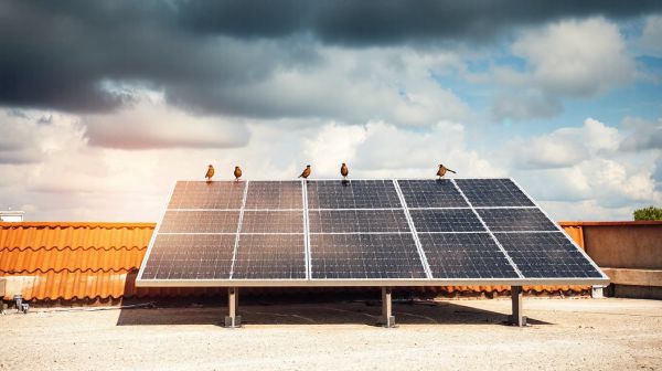 10 conseils incontournables pour installer des panneaux solaires