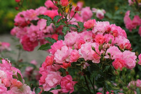 Le guide de l'aménagement de maison pour les familles